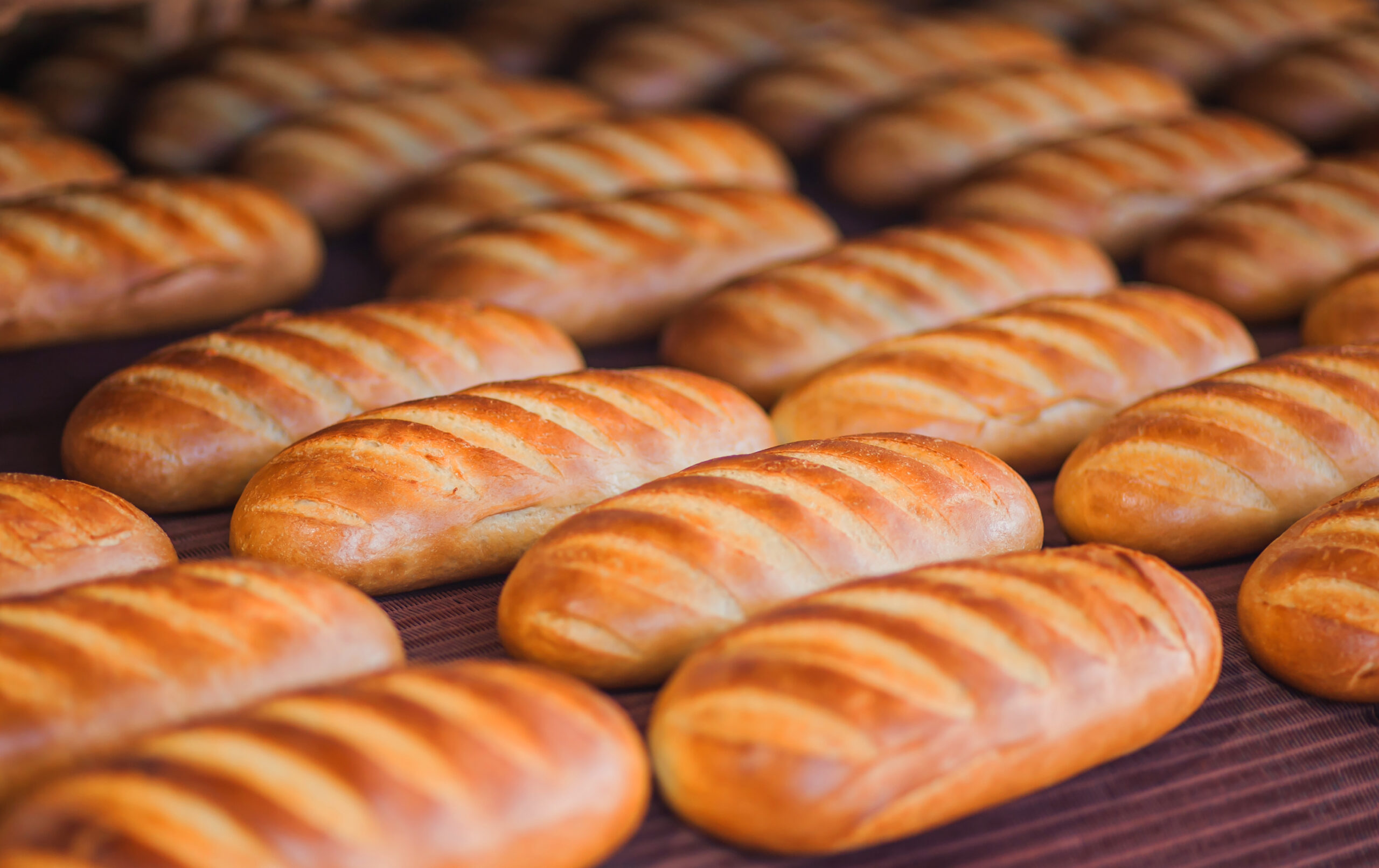 High Speed Cutting for bread-making system