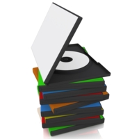 DVD Warehouse Management System