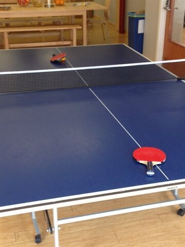 Ping Pong Web Application