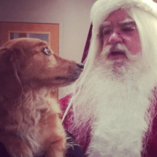 DMC’s Holiday Cheer Extravaganza 2015