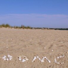 Boston YOE 2016: Cape Cod & Martha’s Vineyard