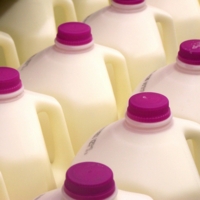 Milk Jug Vision Sorting System
