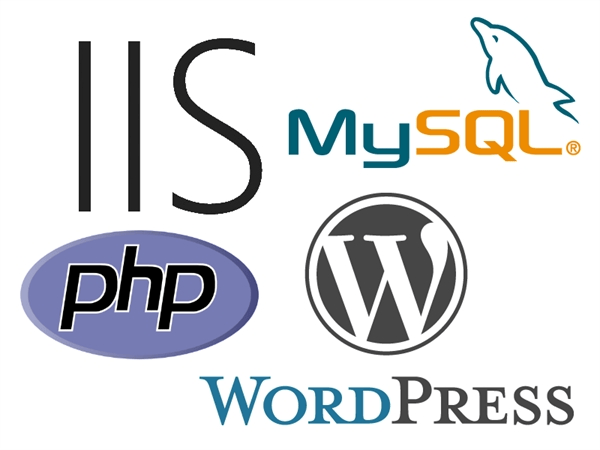 HOW TO: Install WordPress on an IIS Server
