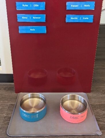Dog area in Denver office