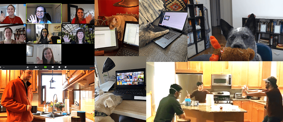 Video: DMC Chicago Works from Home