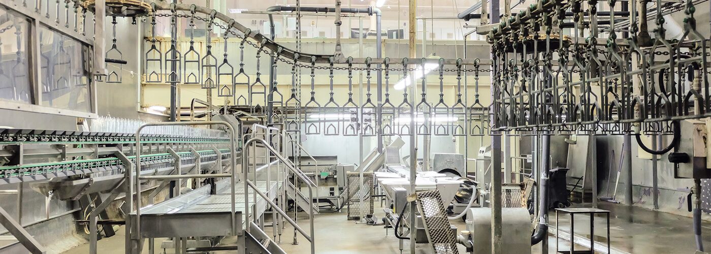 Flying Cut Off Machine with Siemens Kinematics