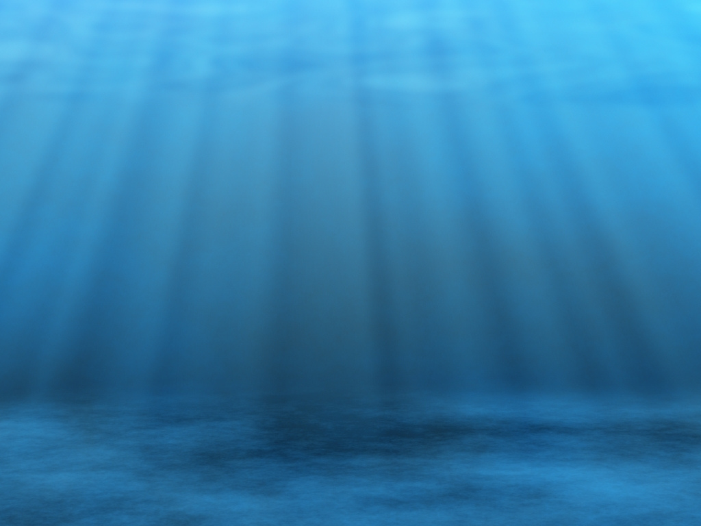 Development of an Embedded Autonomous Robot Platform for Underwater Maintenance Operations