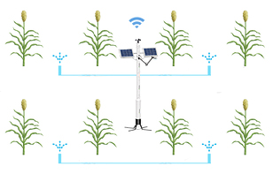 Agricultural Remote Monitoring System with Web Application